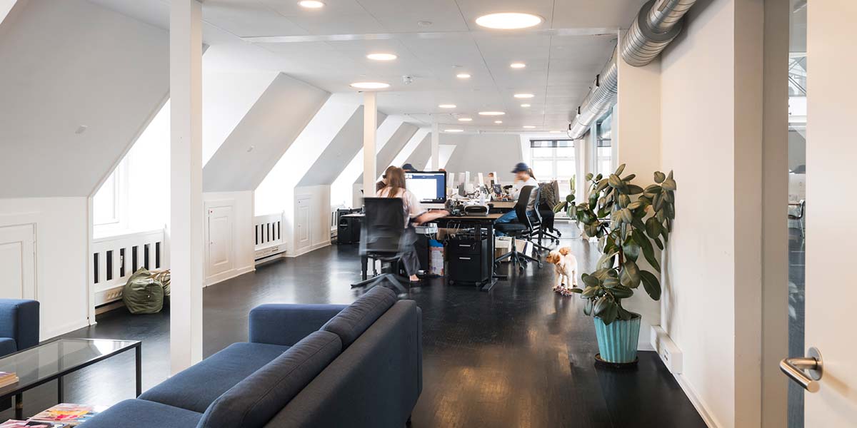 Kontorpladserne med massere af lysindfald set fra lougneområdet