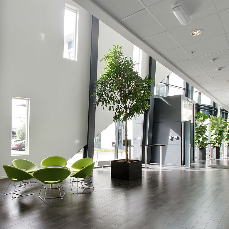 Visionshuset