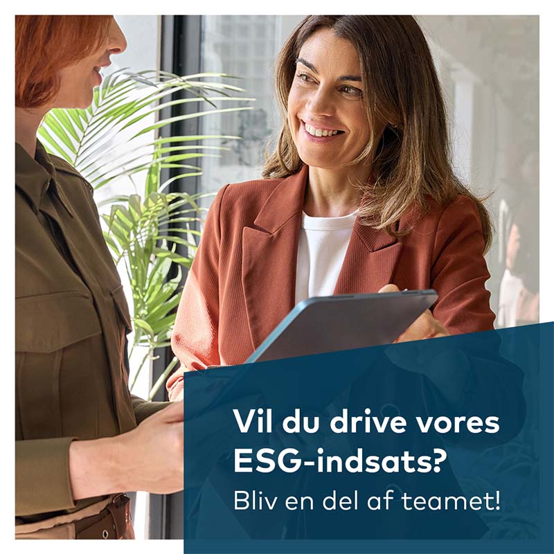 To medarbejdere som taler sammen vedr. en arbejdsopgave. ESG